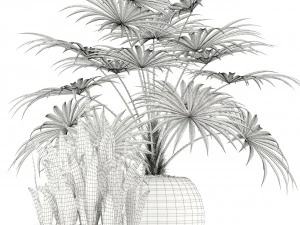 plants collection 103 3D Model