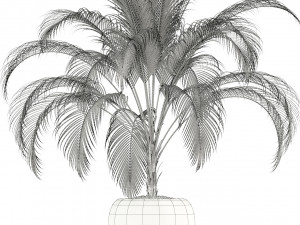 plants collection 103 Modello 3D