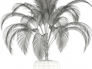 plants collection 103 3D Model