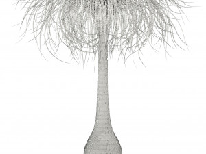 plants collection 103 Modello 3D