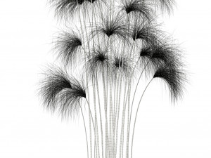 plants collection 103 Modello 3D