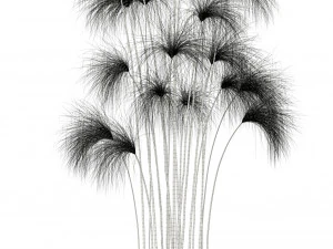 plants collection 103 3D Model