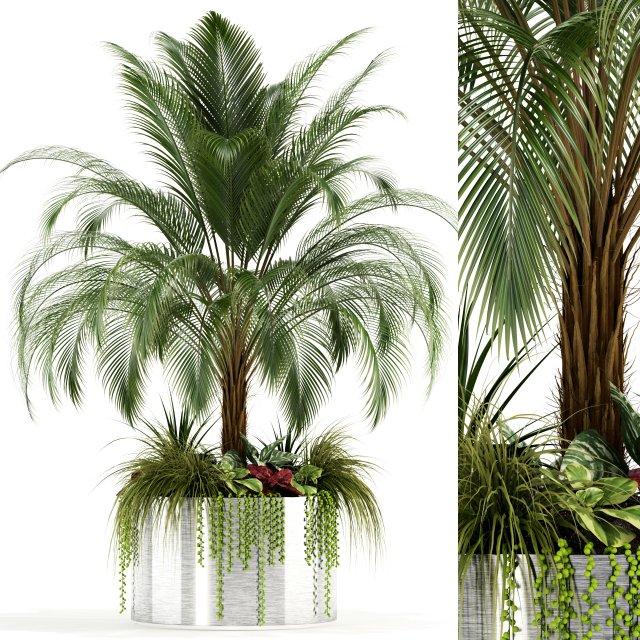plants collection 104 3D Model .c4d .max .obj .3ds .fbx .stl .blend 