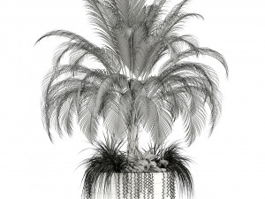 plants collection 104 3D Model