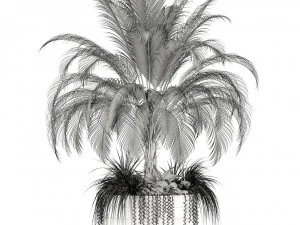 plants collection 104 3D Model