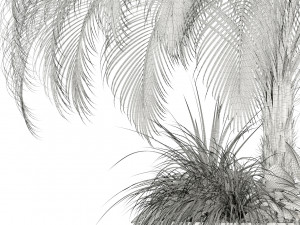 plants collection 104 3D Model