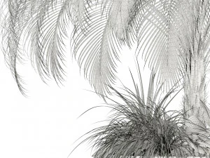 plants collection 104 3D Model