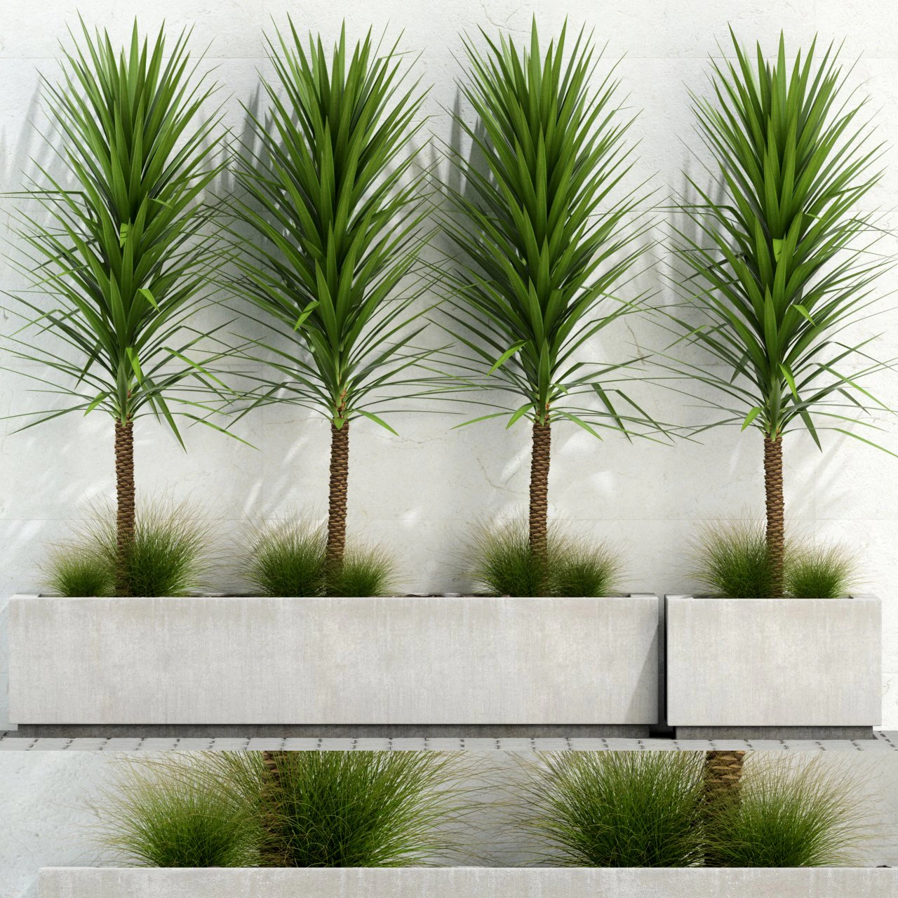 plants collection 105 3D Model .c4d .max .obj .3ds .fbx .stl .blend 