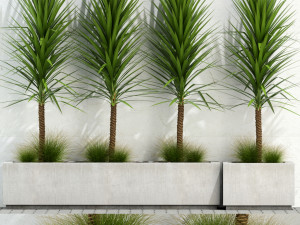 plants collection 105 Model 3D