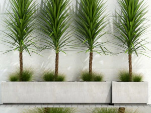 식물 수집 105 3D 모델