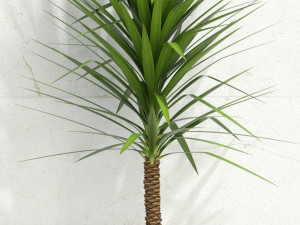 plants collection 105 Modelo 3D