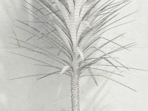plants collection 105 Modelo 3D