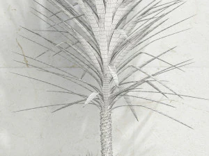 plants collection 105 3D Model