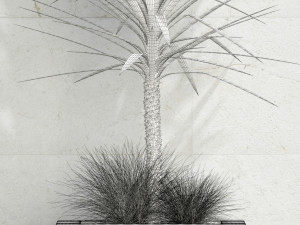 plants collection 105 Modelo 3D