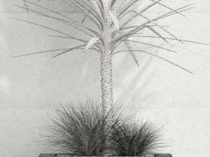 plants collection 105 3D Model
