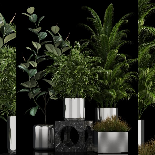 plants collection 106 3D Model .c4d .max .obj .3ds .fbx .stl .blend 