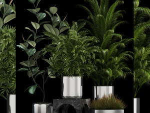 plants collection 106 3D Model