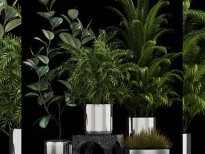 collection de plantes 106 Modèle 3D