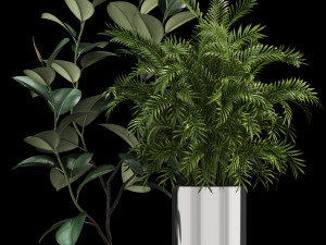 plants collection 106 3D Model
