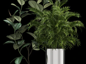 plants collection 106 3D Model