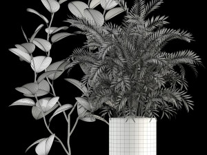 plants collection 106 3D Model