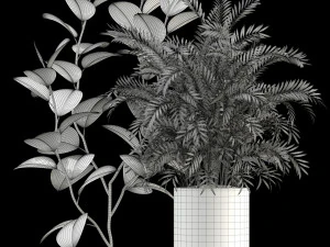plants collection 106 3D Model