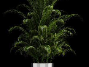 plants collection 106 3D Model