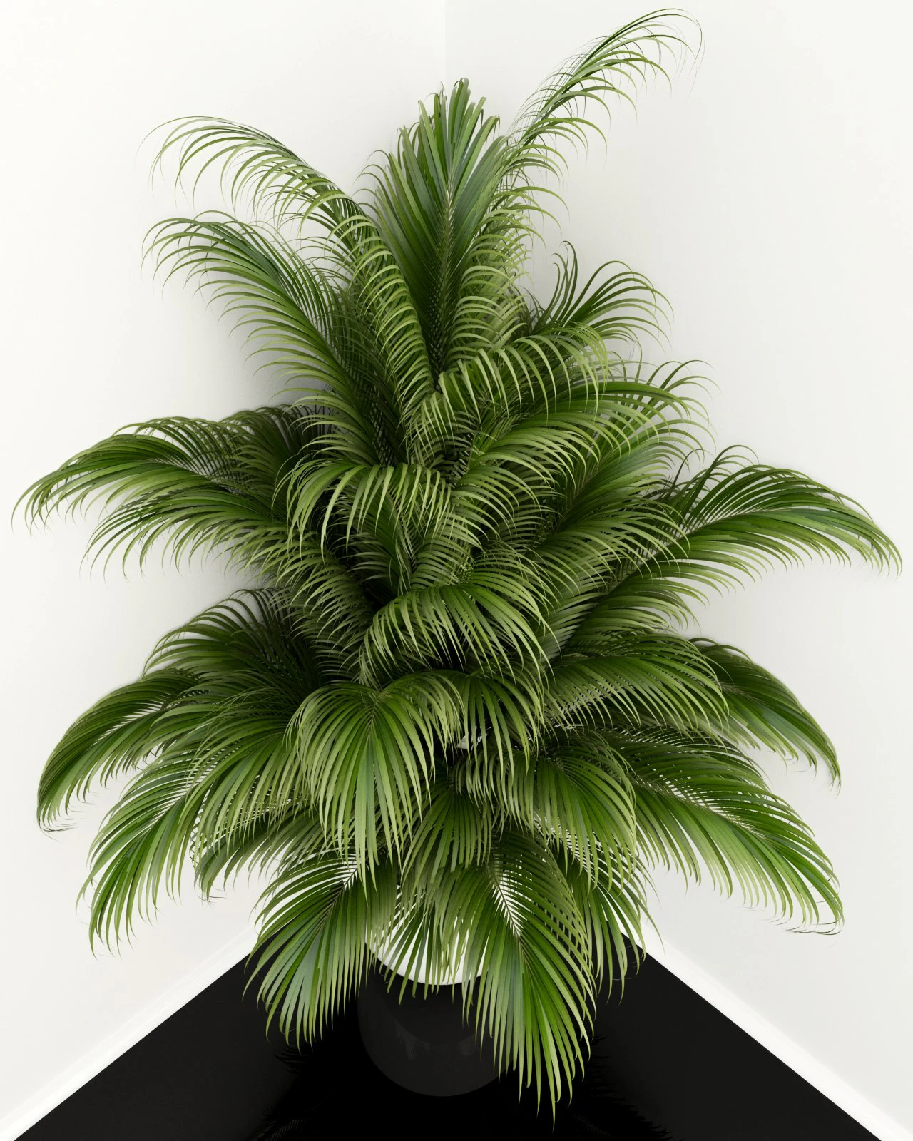 plants collection 107 3D Model .c4d .max .obj .3ds .fbx .stl .blend 