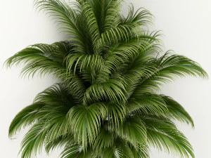 kolekcja roślin 107 Model 3D