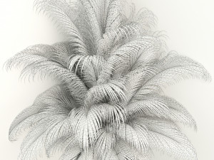 plants collection 107 Model 3D