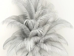plants collection 107 3D Model