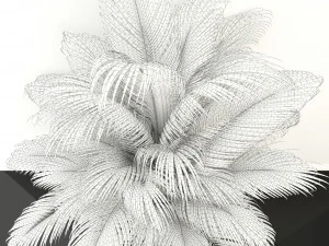 plants collection 107 3D Model