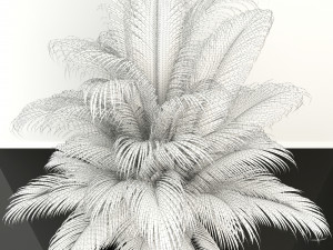 plants collection 107 Model 3D
