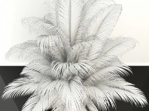 plants collection 107 3D Model
