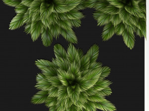 plants collection 107 Model 3D