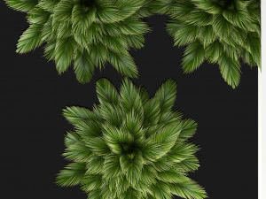 plants collection 107 3D Model