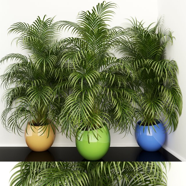 plants collection 108 3D 모델 .c4d .max .obj .3ds .fbx .stl .blend 