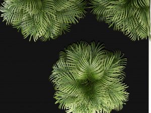 plants collection 108 3D 모델