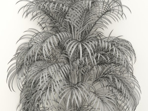 plants collection 108 3D 모델