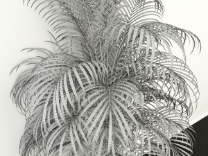 plants collection 108 3D 모델