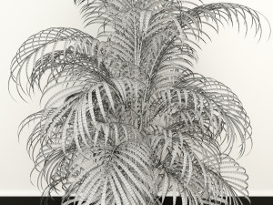 plants collection 108 3D 모델