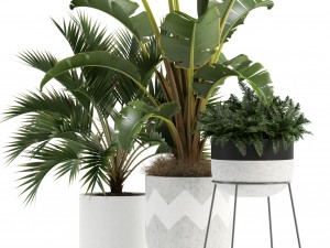 Plants collection 110 3D Модель