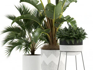 Plants collection 110 3D Model