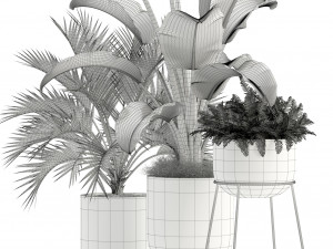 Plants collection 110 3D Модель