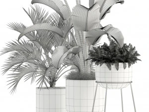 Plants collection 110 3D Model