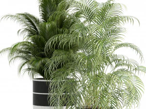 Plants collection 110 3D Model