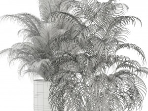 Plants collection 110 3D Модель