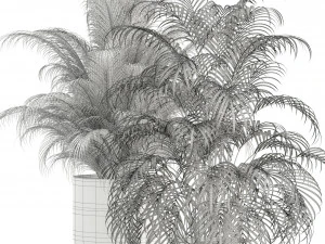 Plants collection 110 3D Model