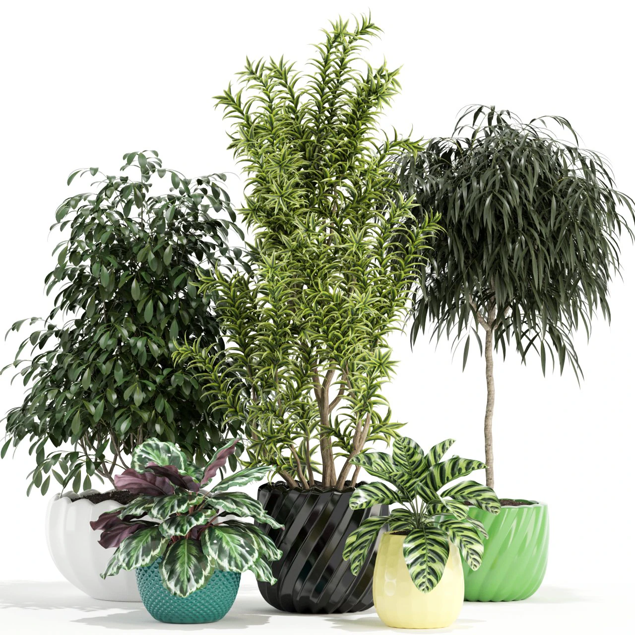 Plants collection 111 3D Model .c4d .max .obj .3ds .fbx .stl .blend 