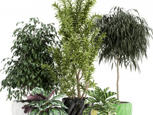 Plants collection 111 3D Модель